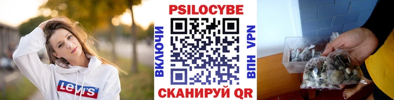 Псилоцибиновые грибы прущие грибы где продают наркотики Сафоново