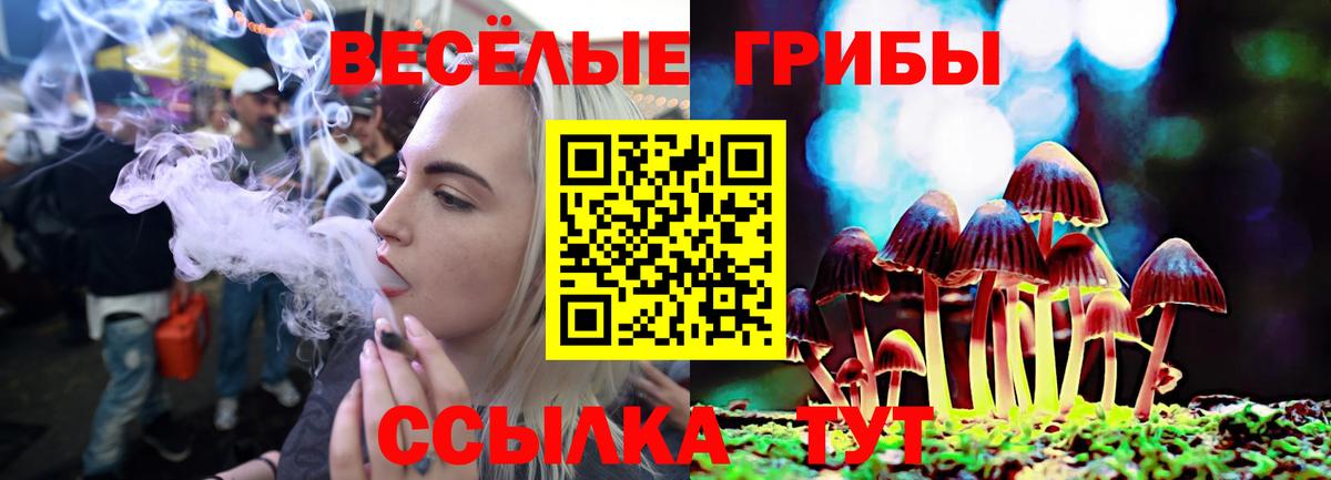Сафоново  Галлюциногенные грибы Magic Shrooms  Вход с VPN  Псилоцибиновые грибы Psilocybine cubensis 